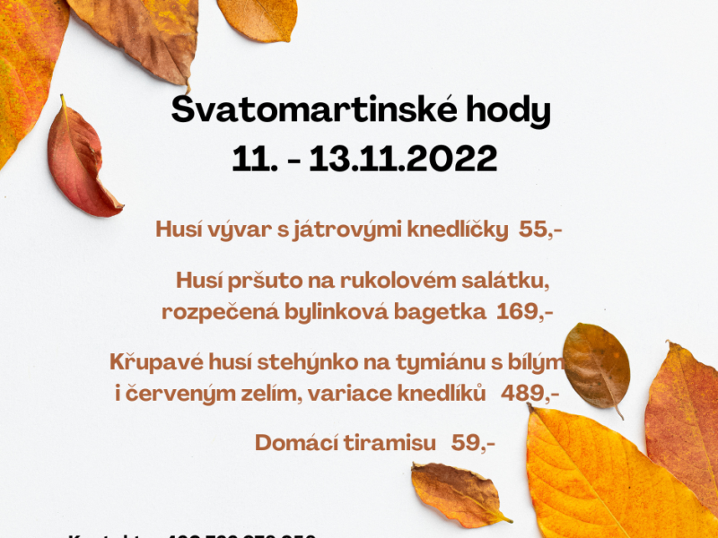 Svatomartinské hody