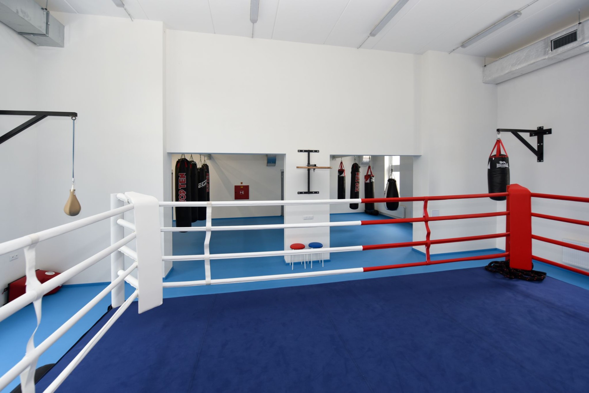 Portrait of female boxer relaxing in boxing ring at fitness center, Stock  Photo, Picture And Royalty Free Image. Pic. WR3405544 | agefotostock